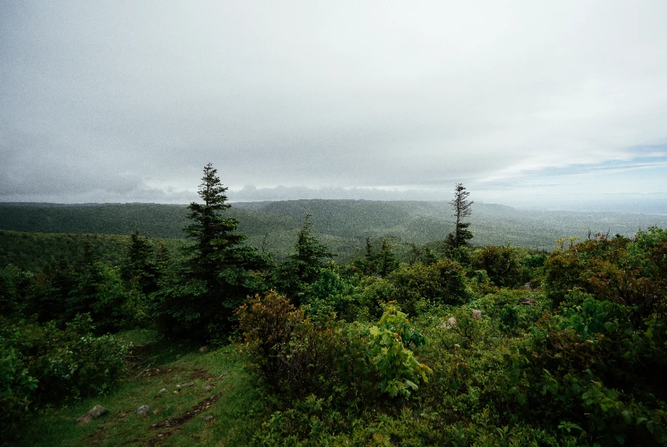 Exploring Port Hood, NS: A Guide to the Charming Coastal Town and its Weather