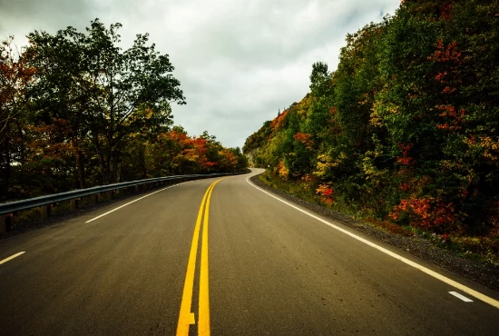 Beyond Port Hood: Scenic Road Trips to Explore from this Nova Scotia Gem