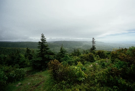 Exploring Port Hood, NS: A Guide to the Charming Coastal Town and its Weather